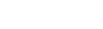 Michael Cars Company